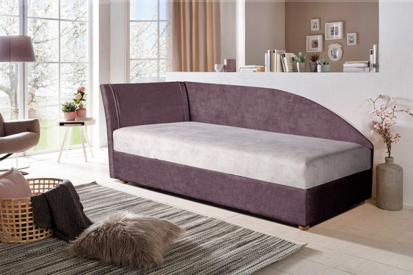 Алиса со щитом  НПБ