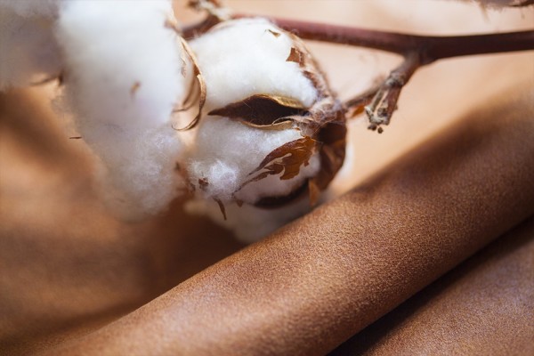 Бельгиум (belgium)