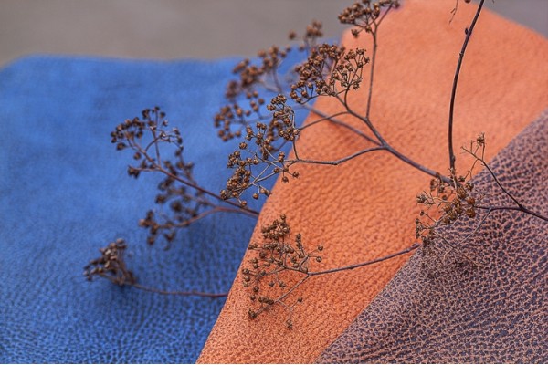 Калипсо (kalipso)