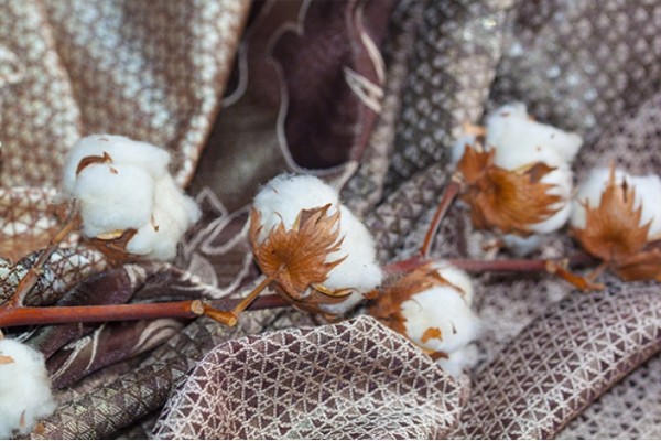 Лантана (lantana)