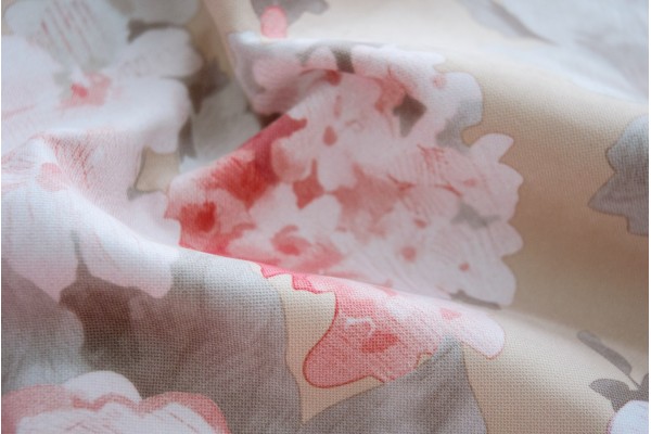 Прованс (provanse)